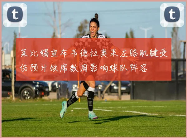 莱比锡宣布韦德拉奥果左膝肌腱受伤预计缺席数周影响球队阵容