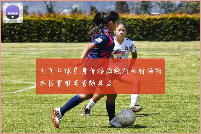 合同年球员身价榜揭晓科纳特领衔弗拉霍维奇紧随其后