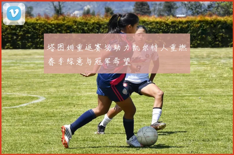 塔图姆重返赛场助力凯尔特人重燃春季绿意与冠军希望